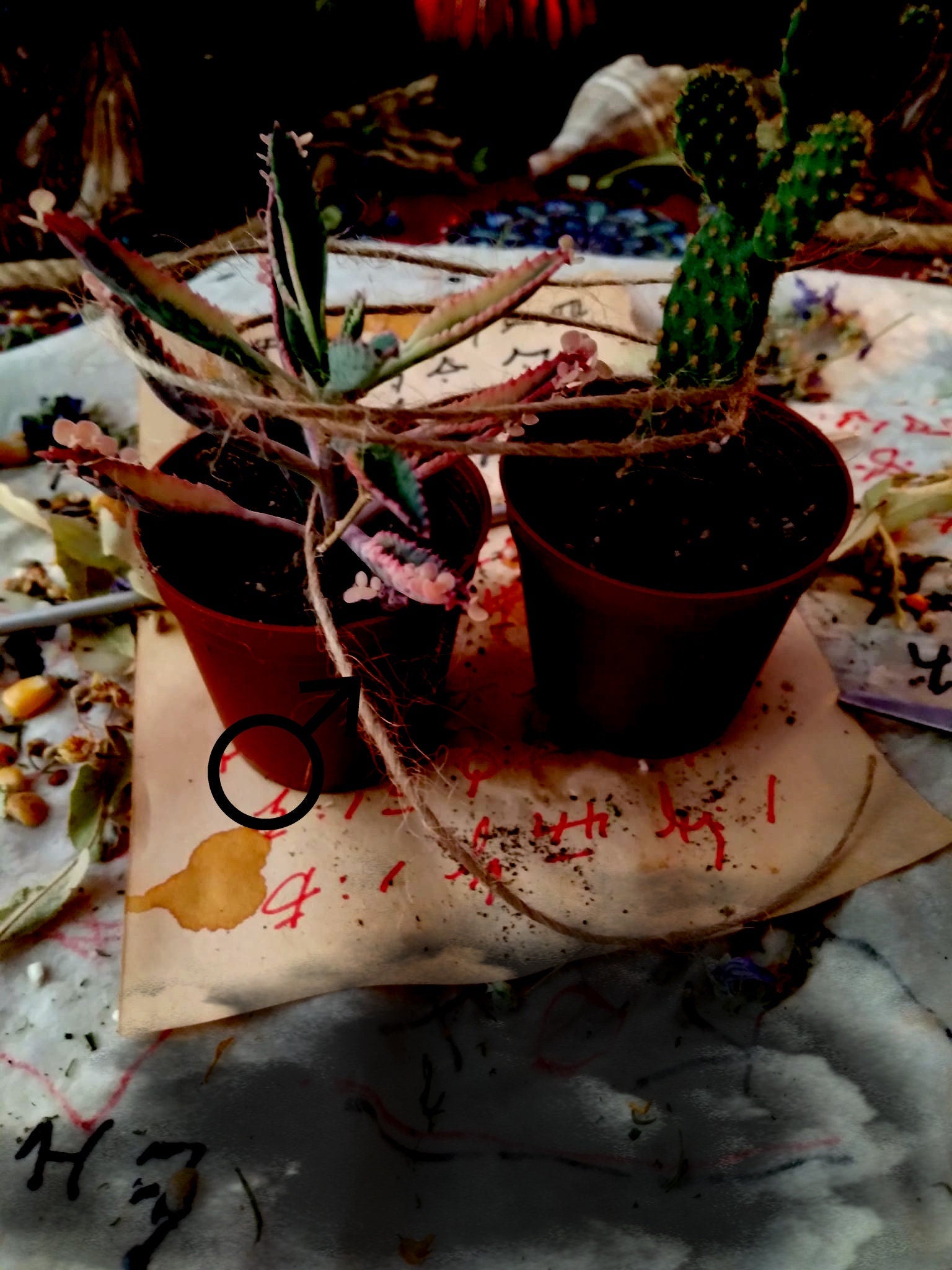 spell casting,Wife/Love/Soulmate Charm,Relationship/Passion/Strong Attractive/Strong Love Spell,love spell, magic ritual