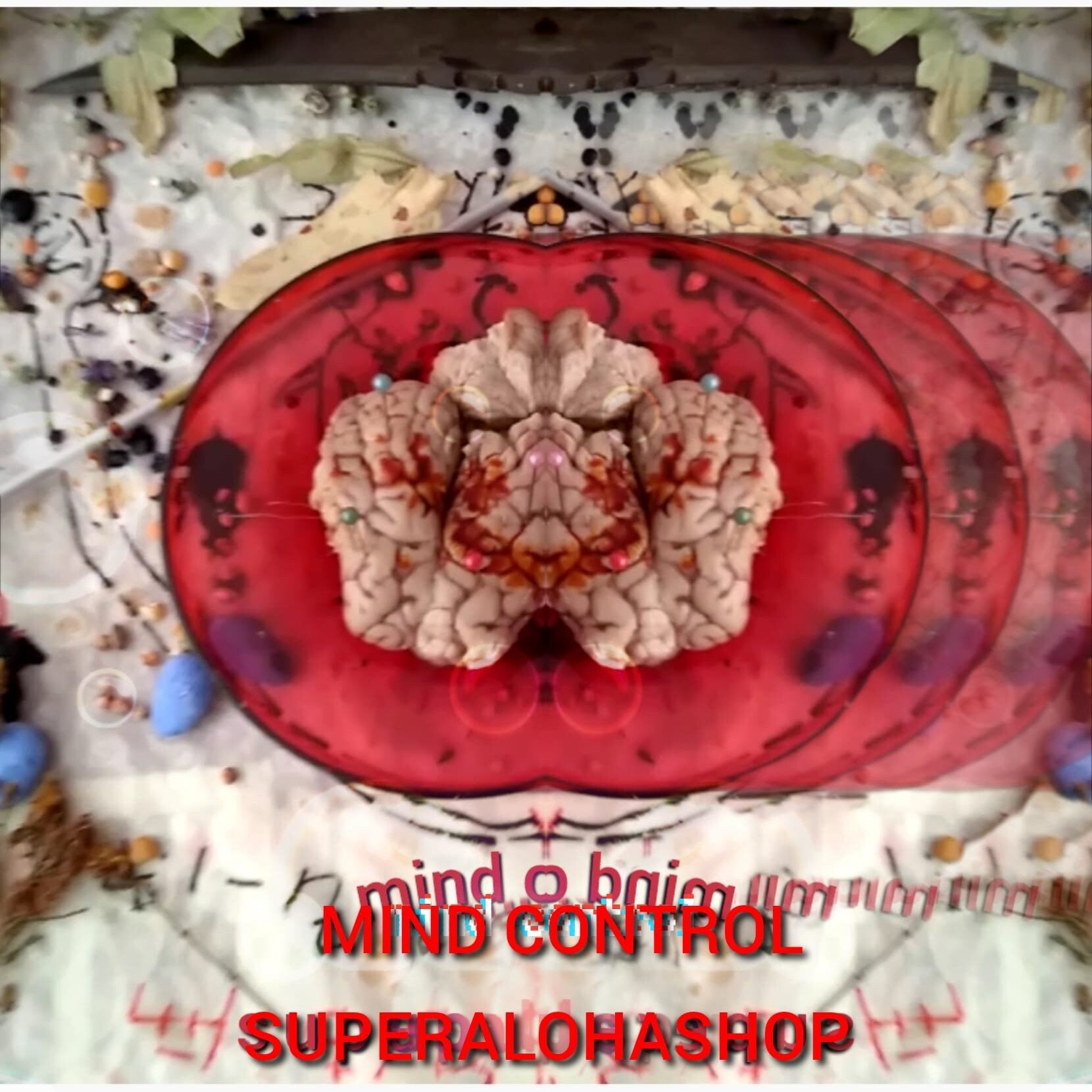 Mind Control Spell: Custom Ritual , Control your target's mind , Make your target do what you want , Load ideas into your target's mind