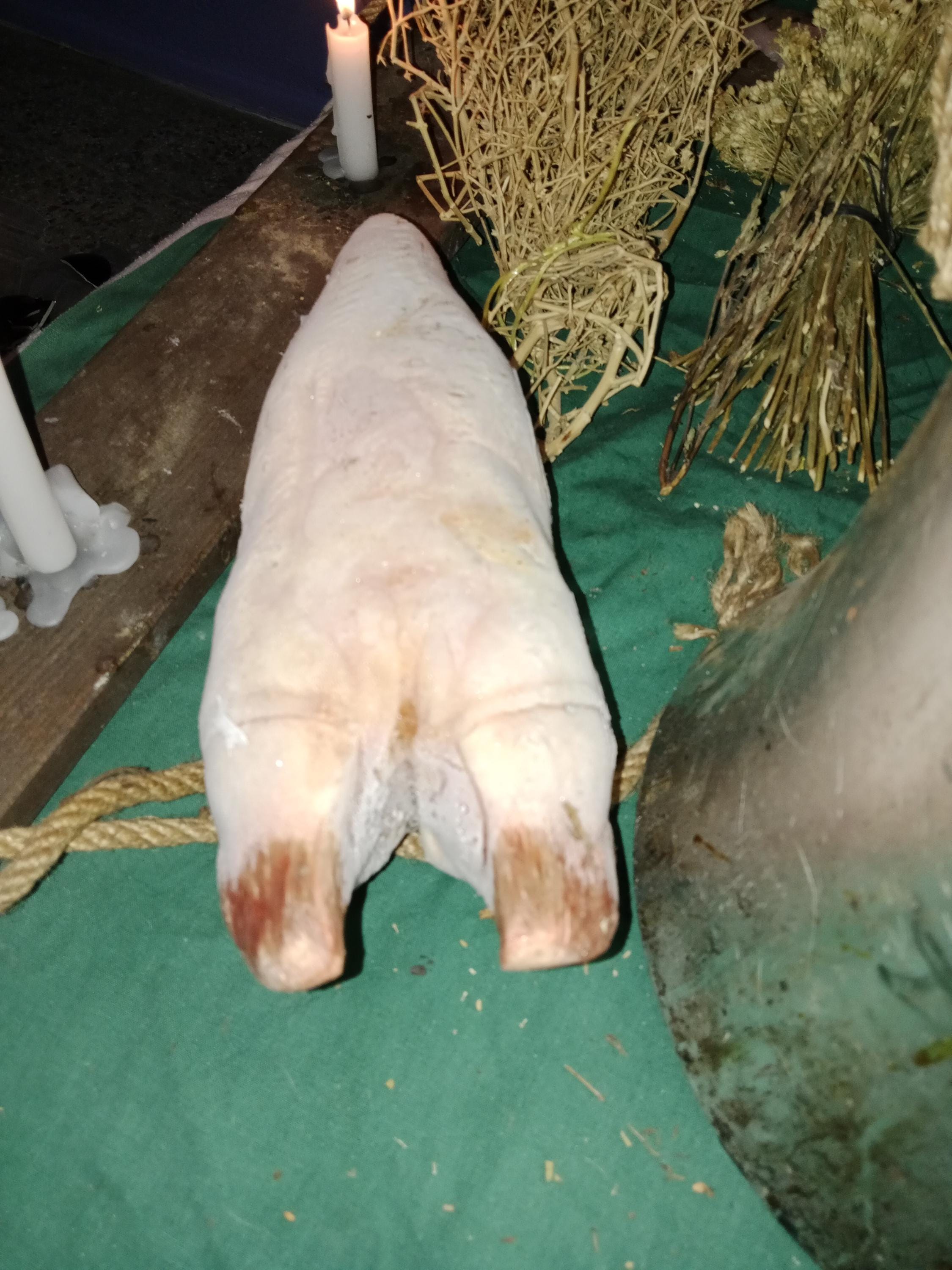 Powerful Protection Spell:Ward off Evil,Remove Curse,Ward off Enemies,Get Rid of Curses,Get Rid of Evil Entities, Protect from Evil Entities