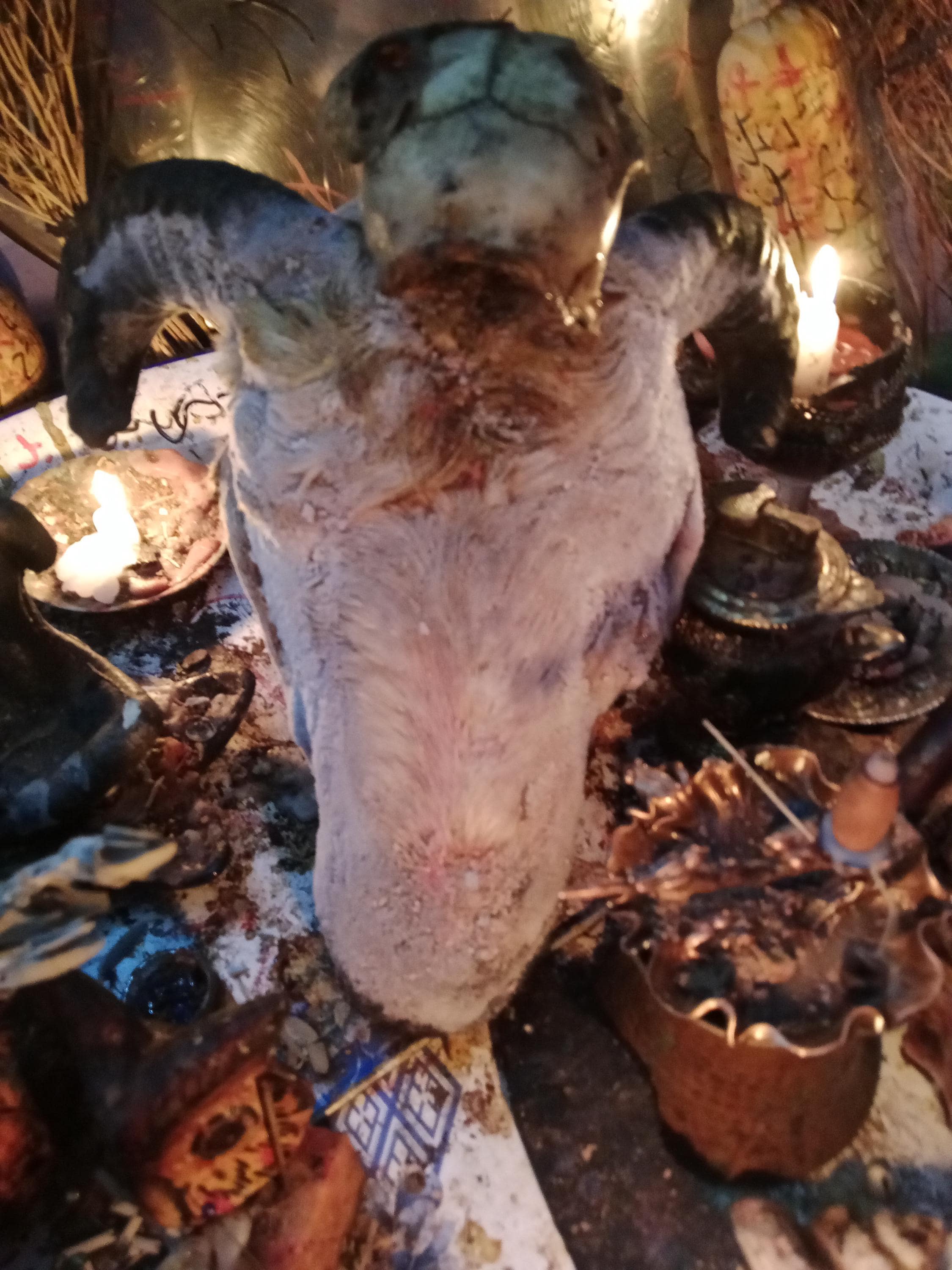 Wealth Ritual: Specially Prepared for Those Who Wish to Become Rich