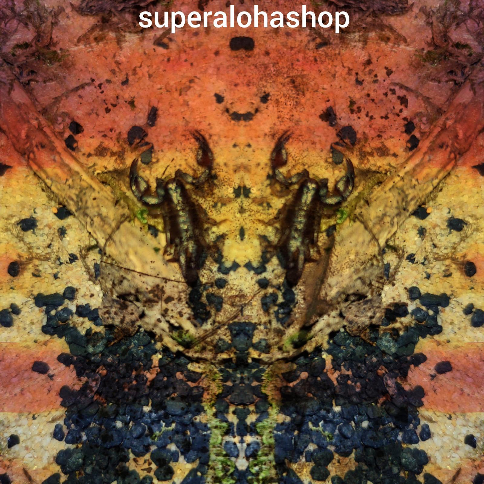 Binding Love Ritual: Emotionally Connect with Your Desired Target Person