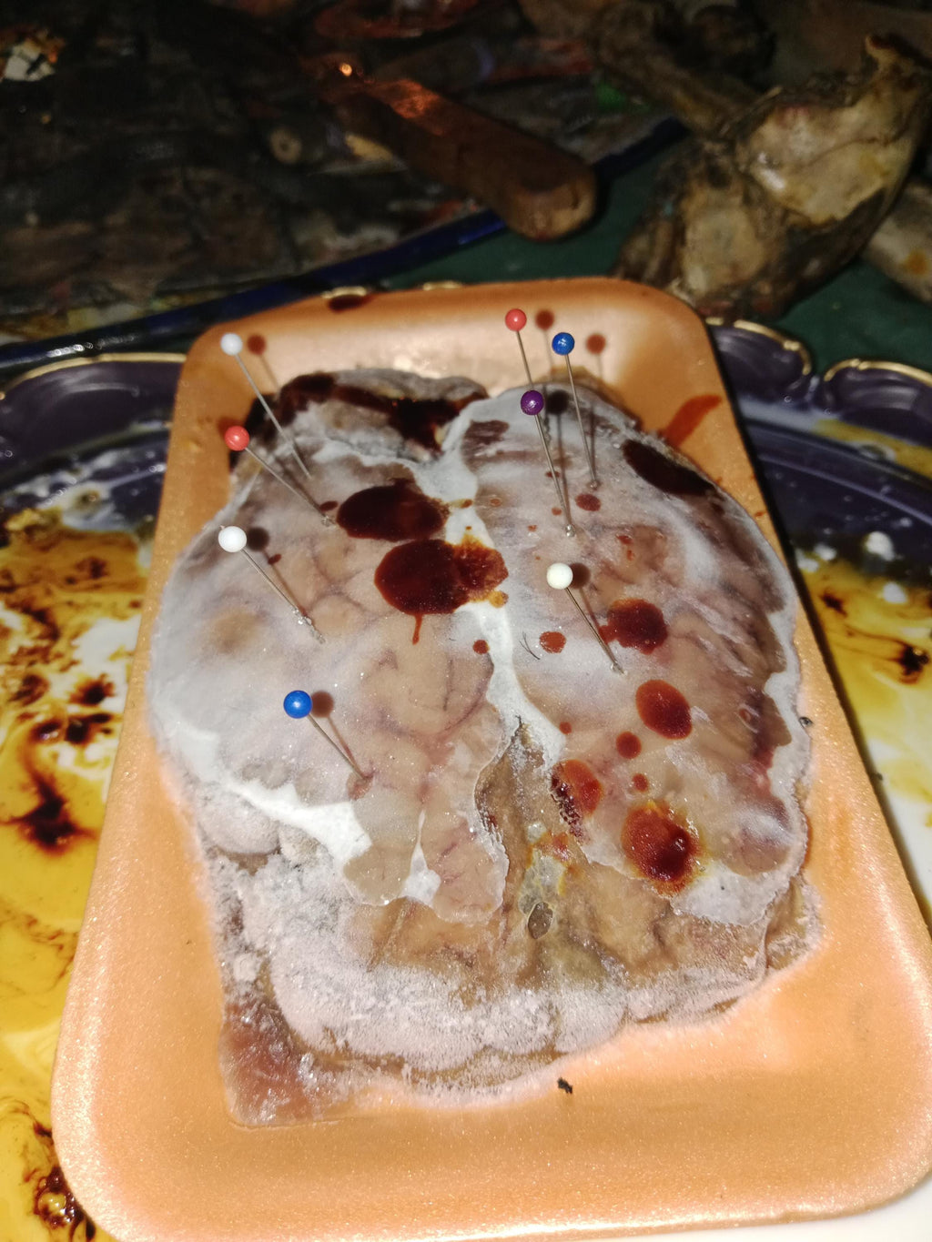 Mind Control Ritual - Manipulating the Target's Thoughts and Mind, Repeated Four Times Once a Command is Given, Prepared with the Real Brain